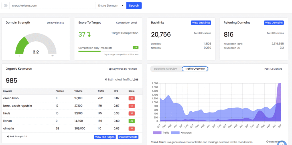 screenshot sharing client's traffic, keywords, and domain authority stats